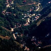 2000 and 3000 Forests 